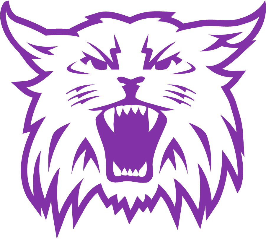 Weber State Wildcats 2008-2012 Secondary Logo diy DTF decal sticker